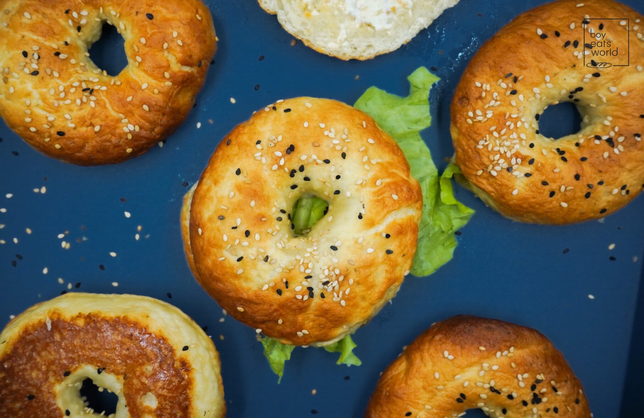 homemade-bagel-thins-boy-eatsworld