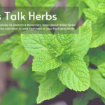 let's talk herbs